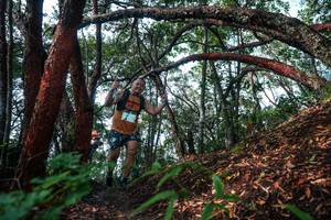 BIB: 
                            <button type="button" onclick="openModal(26345169)" class="btn btn-primary btn-sm float-right btn-popup" data-toggle="modal" data-target=".modal-high-quality">
                        <i class="fas fa-shopping-cart"></i> Add to Cart
                    </button>
                                            <button type="button" onclick="isThisMe(26345169, true)" class="btn btn-success btn-sm float-right btn-popup btn-isme hidden" data-toggle="tooltip" data-placement="bottom" title="นี่คือรูปของคุณใช่ไหม คลิกที่นี่เพื่อเอาเข้าอัลบั้ม">
                        <i class="fas fa-plus"></i> Add to album
                    </button>
                    <button type="button" onclick="isThisMe(26345169, false)" class="btn btn-warning btn-sm float-right btn-popup btn-isnotme hidden">
                        <i class="fas fa-ban"></i> Remove from album
                    </button>